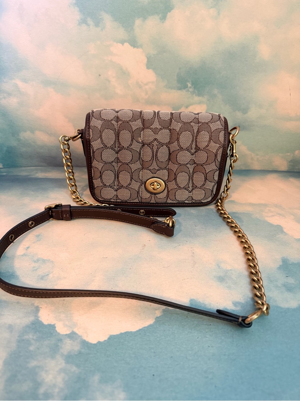 Coach Signature Canvas Crossbody Bag in Brown with Gold Hardware